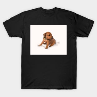 Miniature Pinscher puppy T-Shirt